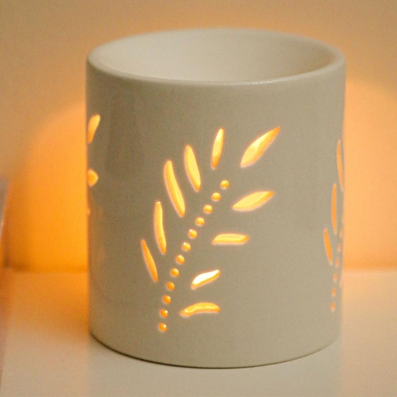 Essential Oil Burners Wax Melt - Home Fragrance Wax Melts review and price